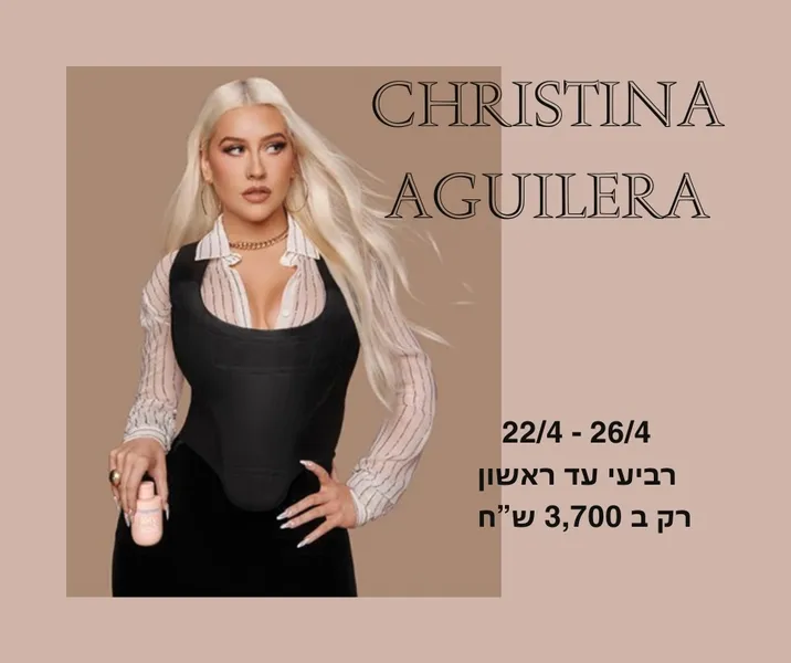 תיאור תמונה 2